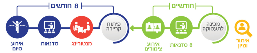 מודל מקצועי