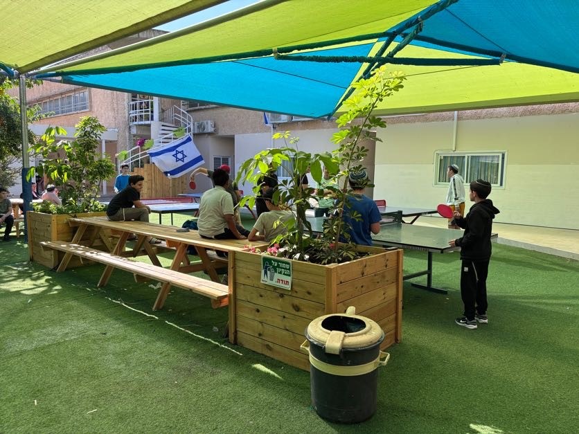 אמית דביר 