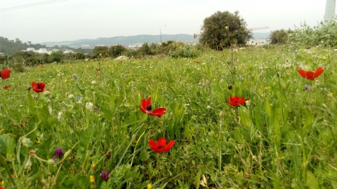מפגש תושבים (1).jpg
