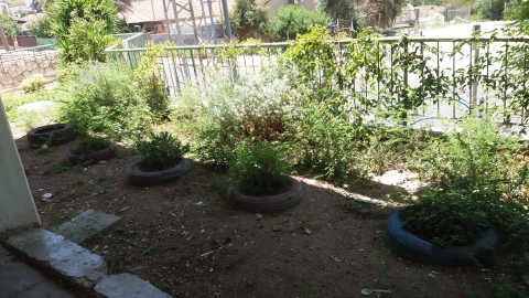 בגפן 2.jpg
