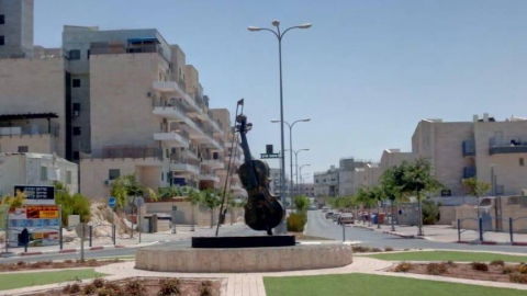 משפרים את ניראות העיר (1).jpg