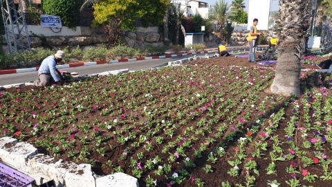 נערכים לשנה החדשה (1).jpg