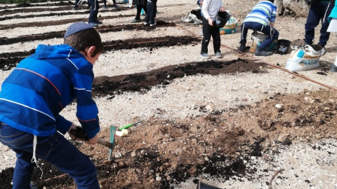 גינה ברמה ג.jpg
