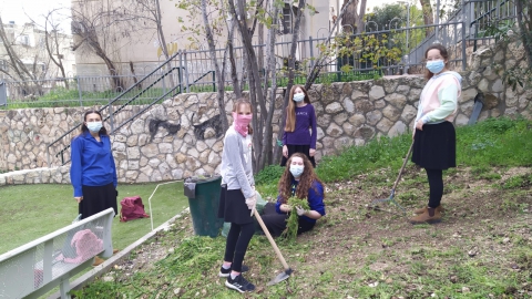 נטיעות 3.jpg